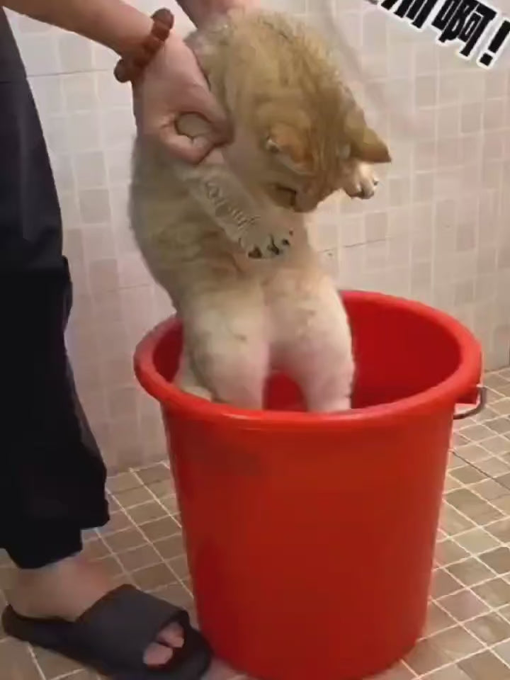 PetSpa™